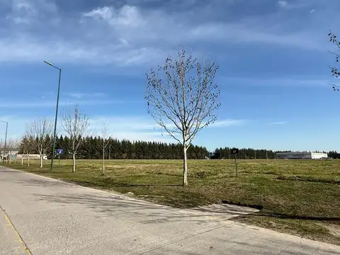Terreno en Venta 65  mts Frente