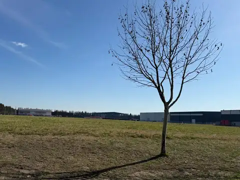 Excelente Terreno Industrial UBICACION UNICA 10.000 mts Polo Ezeiza