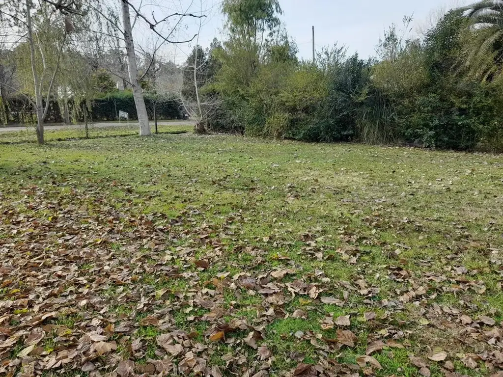 Terreno en Venta en Vicente Melazzi