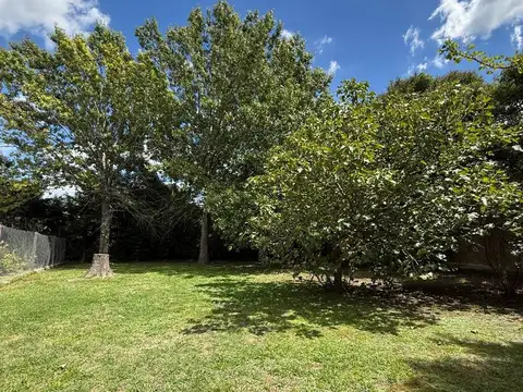 Terreno en Venta 63  mts Fondo