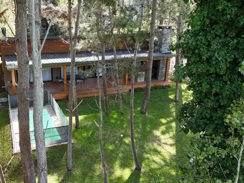 Palmera 1200