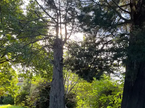 Terreno / Lote en venta de 300m2 ubicado en Tortuguitas