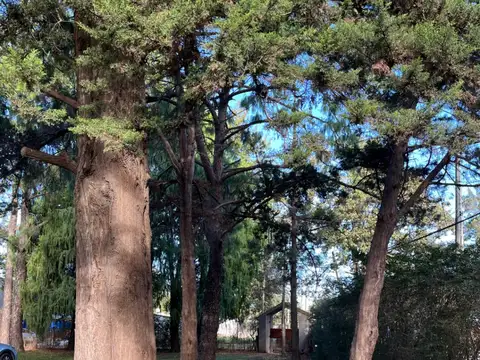 Terreno en Venta de 300,0 m2