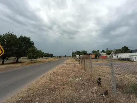 Terreno en Alquiler 50  mts Fondo