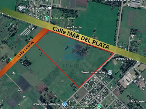 Calle Mar del Plata y ruta 24