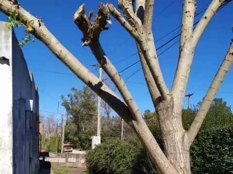 Casa en Venta 60 años