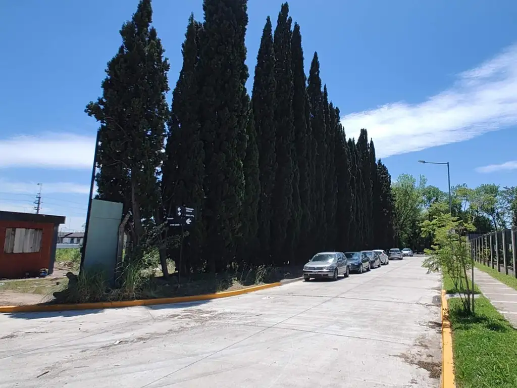 Bosco La Horqueta - Foto 21