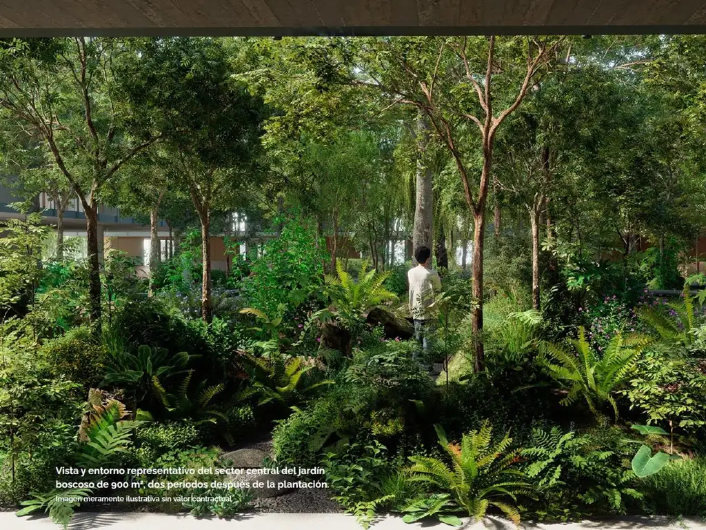 Bosco La Horqueta - Foto 16