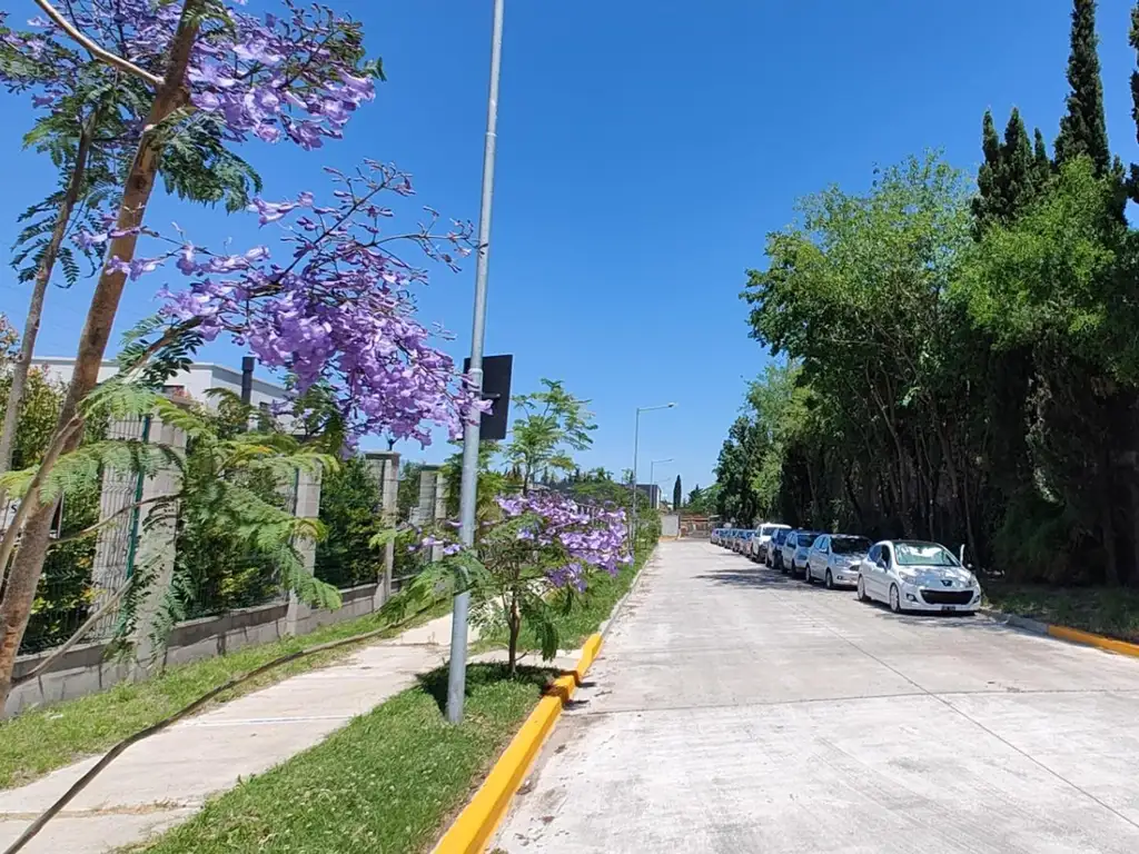 Bosco La Horqueta - Foto 20