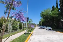 Bosco La Horqueta - Foto 20