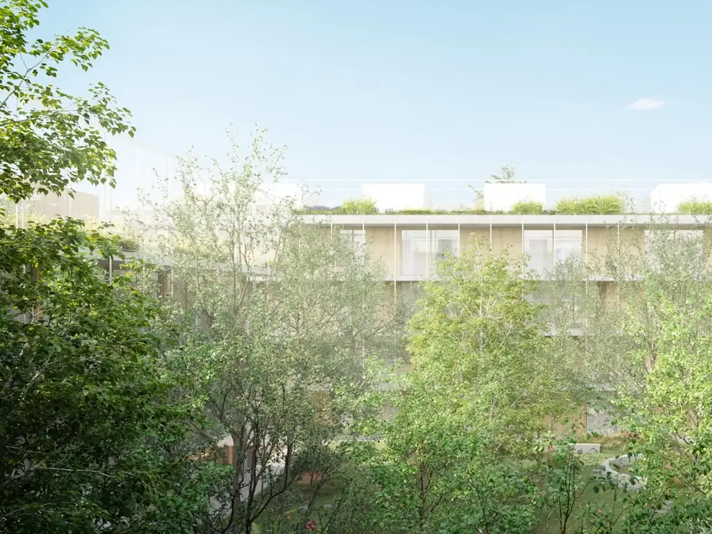 Bosco La Horqueta - Foto 22