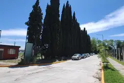 Bosco La Horqueta - Foto 21