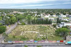 Bosco La Horqueta - Foto 17