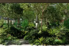 Bosco La Horqueta - Foto 16