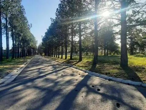 Terreno en Venta de 375,0 m2