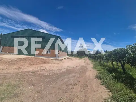 Alquiler Galpón con oficina