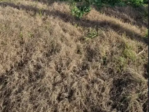 Terreno en Venta de 200,0 m2