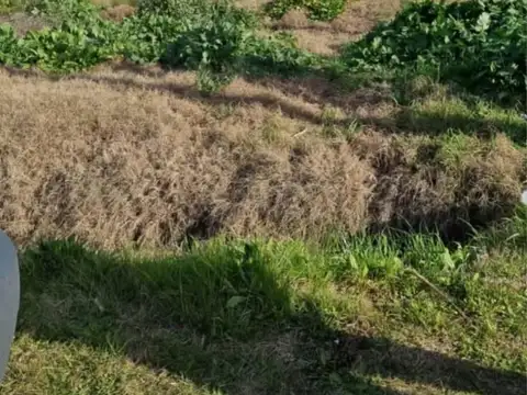 Terreno en Venta en Manuel B Gonnet, USD 25.000