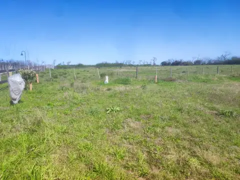 Terreno en Chacras de Zelaya
