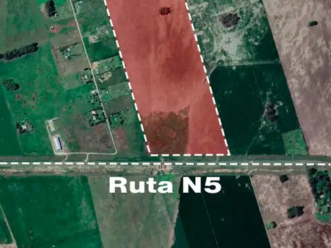 Ruta Nacional 5 100