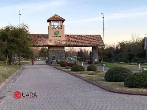 Terreno en Venta en Causana