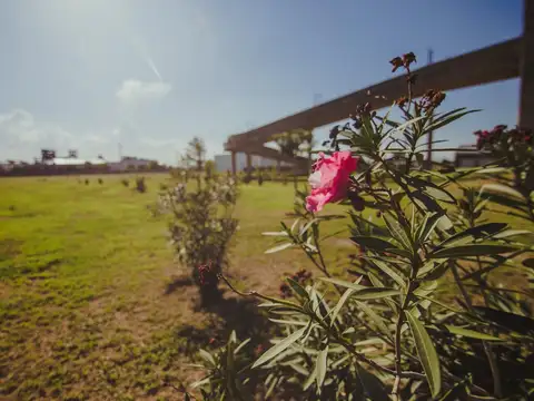 Terreno en Venta de 5160,0 m2