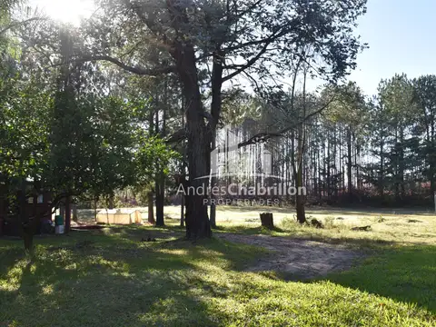 Galpon en Venta en Concordia, USD 120.000