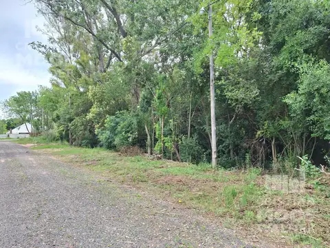 Terreno en Venta 38  mts Fondo