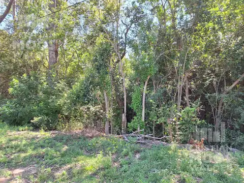 Terreno en Venta 12  mts Frente