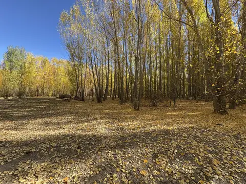 Terreno en Venta de 137100,0 m2