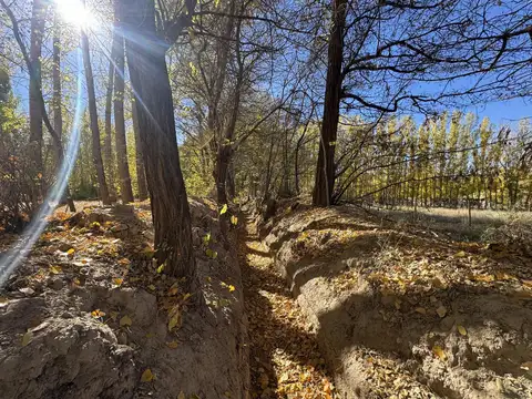 Terreno en Venta de 137100,0 m2