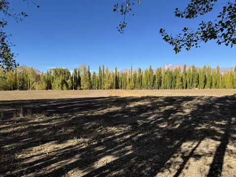 Lote en venta en Uspallata para desarrollo turístico con 47 lotes aprobados
