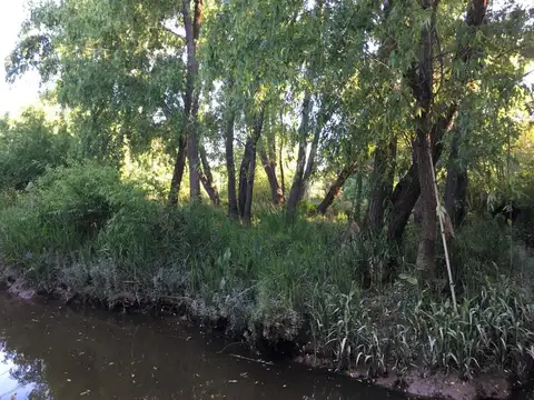 rio parana de las palmas