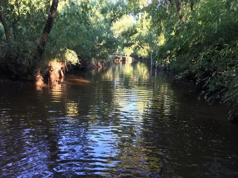 Terreno - Parana De Las Palmas Tigre