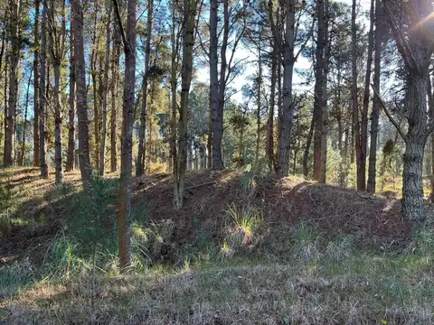 Terreno en Venta de 955,0 m2