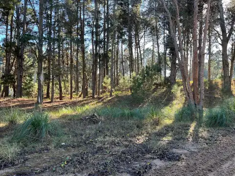 Terreno en venta - 955.93mts2 - Villa Robles, Pinamar