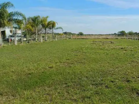 Ruta Provincial 27 100