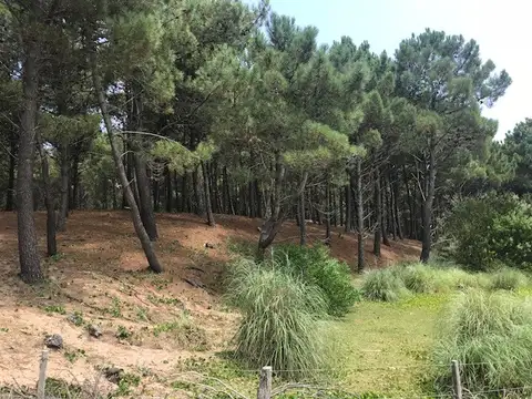 6 Lotes Unifamiliares  (L158)