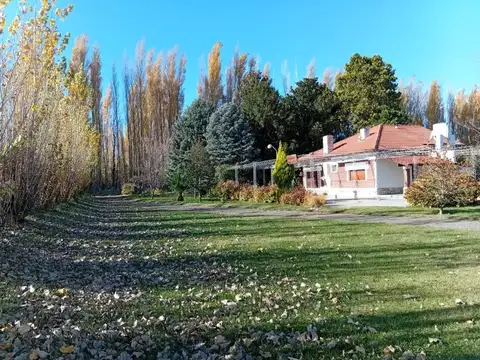Venta de casa en campo con 1 heactarea de tierra en Río Negro