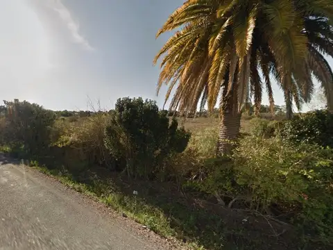 Tula Suarez de Cutinella e/ Guyunusa y Taboba