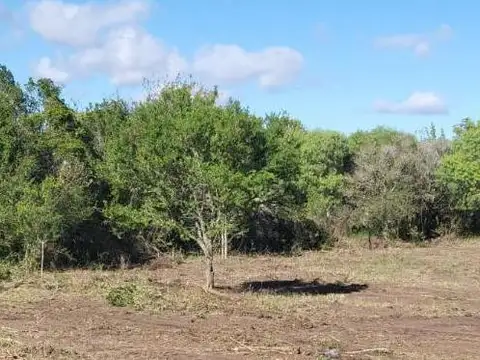 Terreno en Venta 26  mts Fondo
