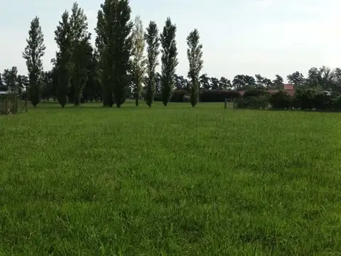 Terreno en Venta de 1198,0 m2