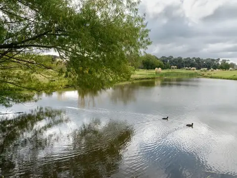 Terreno en Venta de 900,0 m2