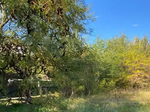 Terreno en Venta en General Belgrano, USD 18.000