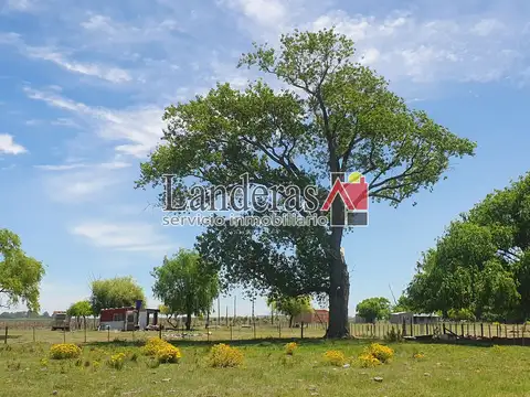 Terreno en Venta en Villa Clelia, USD 43.000