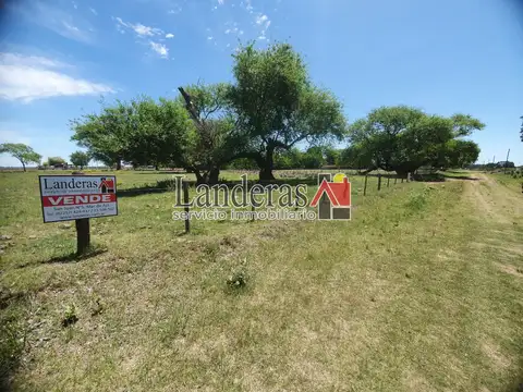 Pejerrey entre Pingúino y Lobo