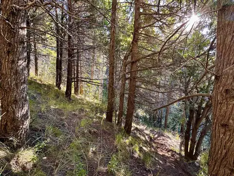 Terreno en Venta de 1412,0 m2