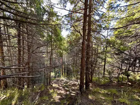 VENTA LOTE BARRIO PARQUE MELIPAL KM 4 BARILOCHE