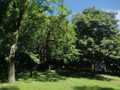 Terreno en Venta en Luis Guillon, USD 60.000