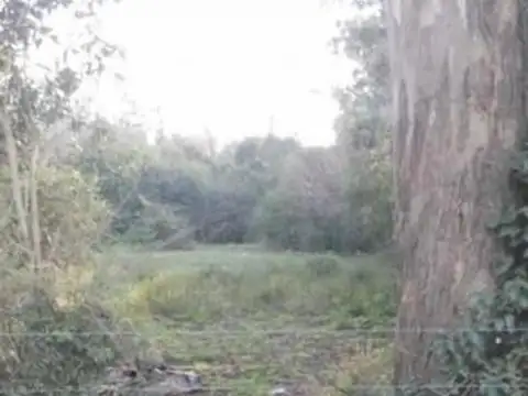 Terreno en Venta 150  mts Fondo
